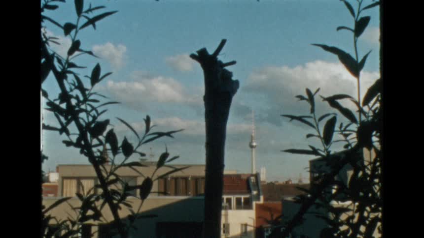 Time lapse footage of clouds moving over the berlin tv tower behind the silhouette of plants