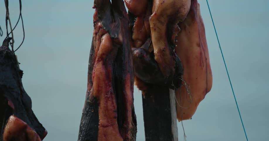 A close up of raw meat hanging on string on a wooden frame