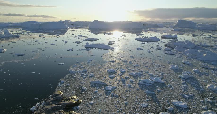 The sun shines brightly upon the water as icebergs and pieces of melting ice float on the water