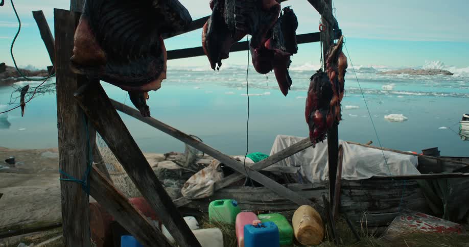 Close up of meat hanging from a drying rack in the wilderness close to the ocean