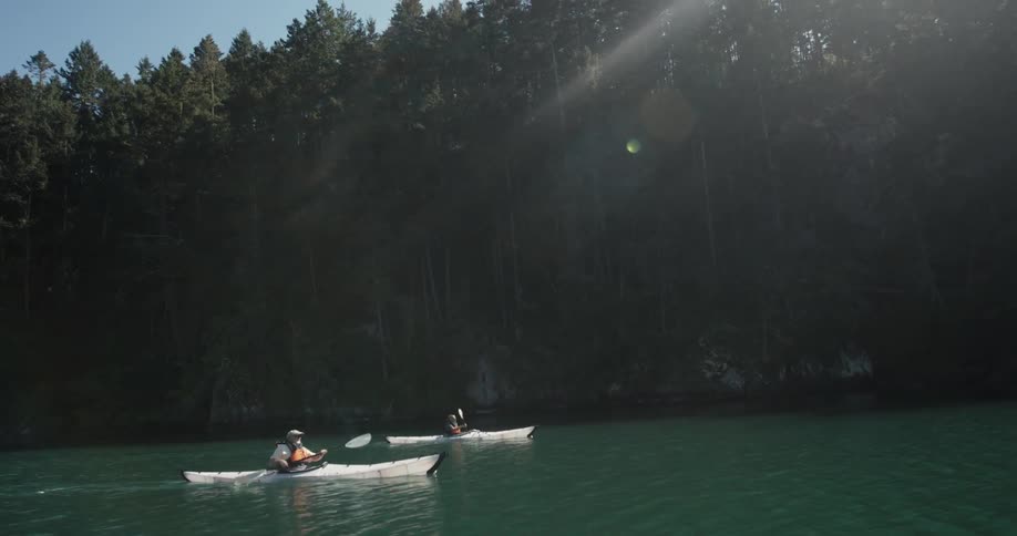 Two kayakers paddling on a sunny day near the edge of a forest