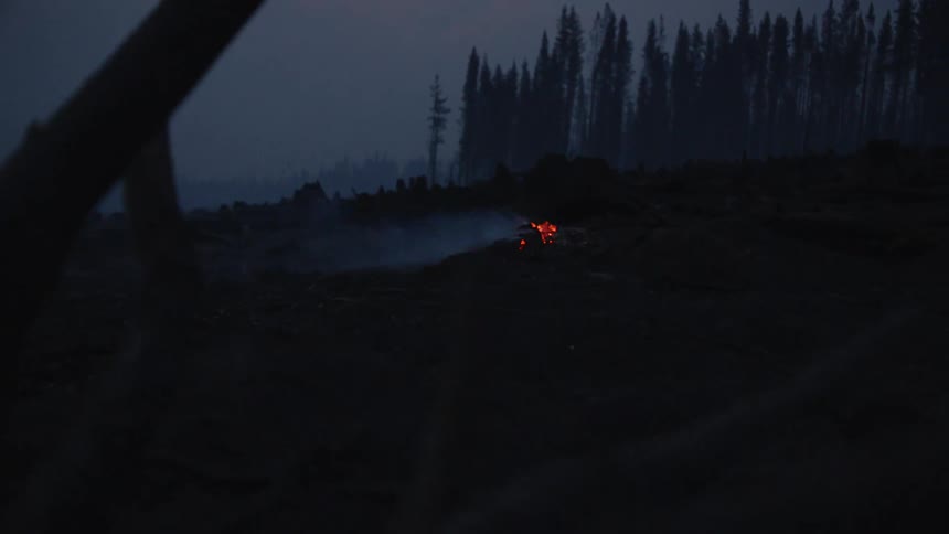 A depleted campfire smolders smoke in a forest at night