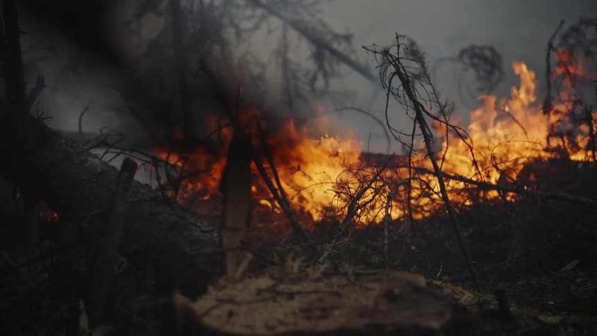 A large fire rages in the woods