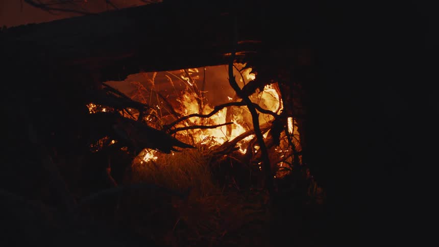 Flames grow taller as a forest fire rages on
