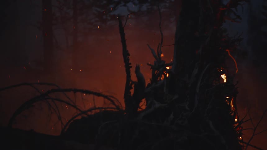 Flames grow taller as a forest burns