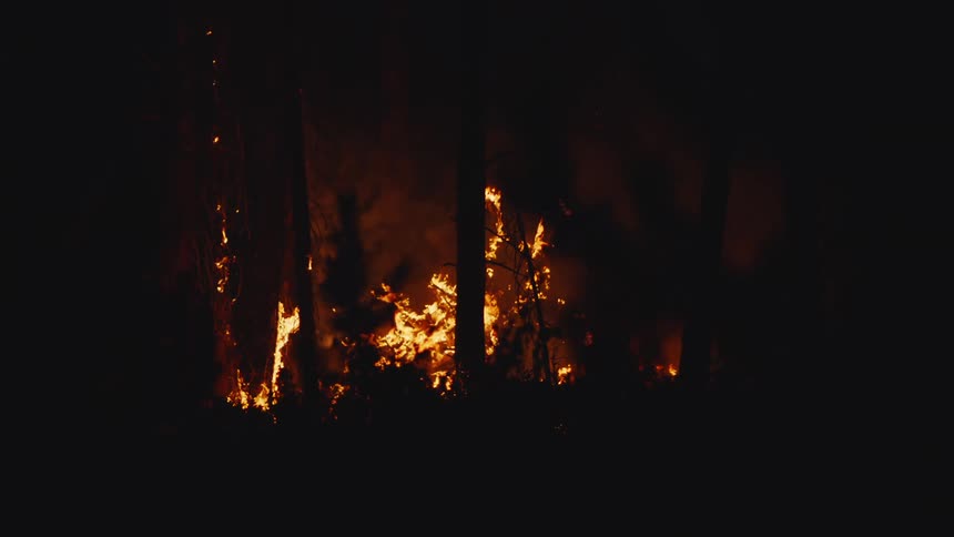 Flames reach past tree tops in a forest fire