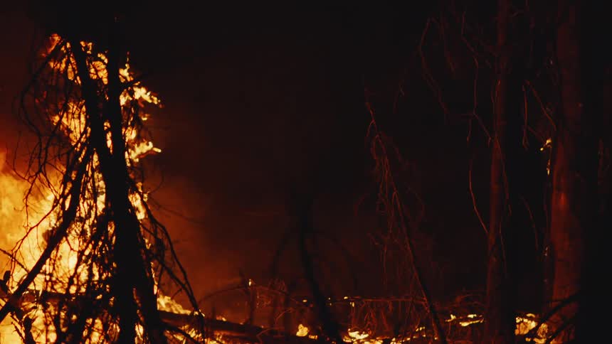 Flames and embers rise in the smoke as a raging forest fire burns in the darkness