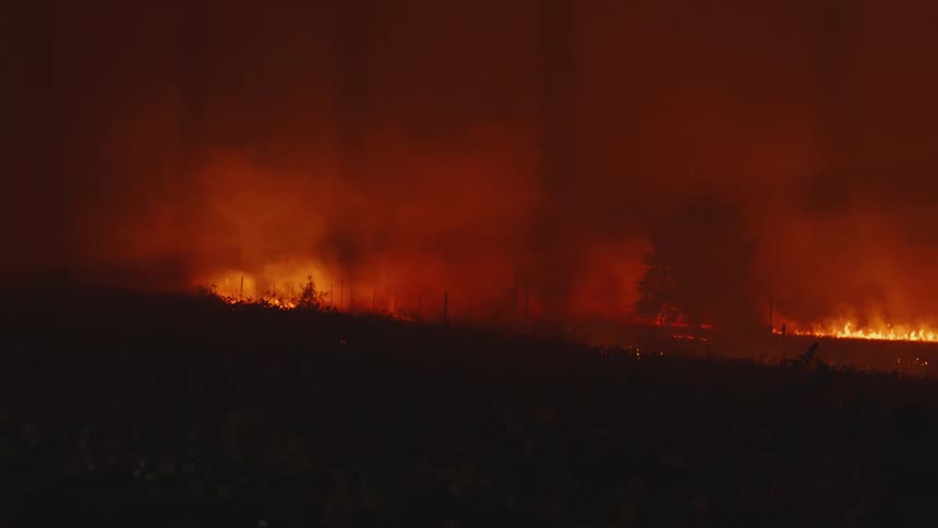A raging forest fire burns as blazing flames illuminate the rising smoke into a blood red sky
