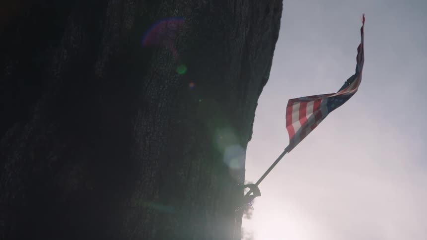 Anamerican flag mounted on the side of a tree blows in the wind