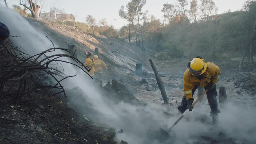 Firefighters clean up after a forest fire