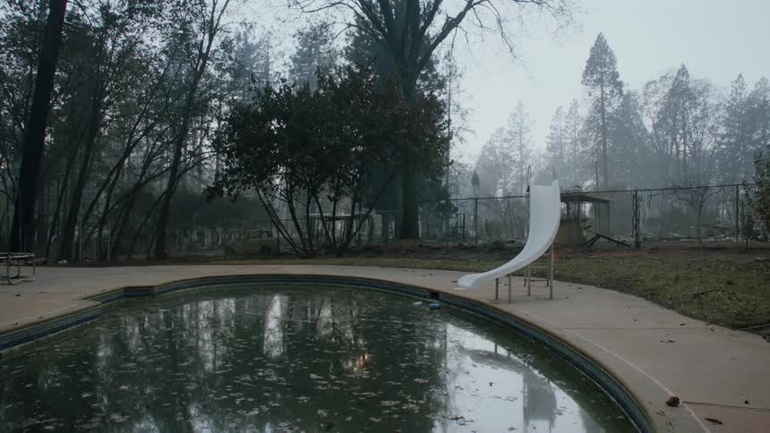 White slide next to a swimming pool on the backyard near a pine tree forest