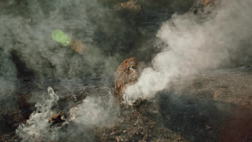 Smoke rolling off the ground from a smoldering piece of wood