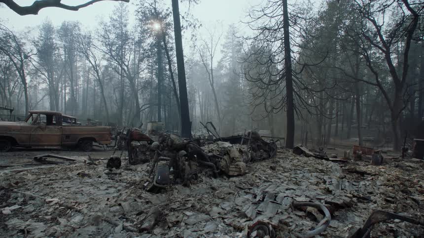 Debris in a forest after a fire