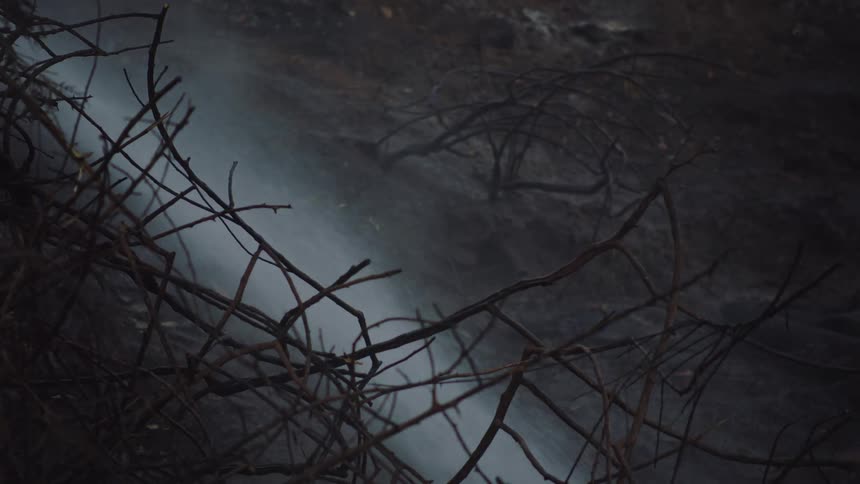 Waters splashing on the ground through branches and brambles