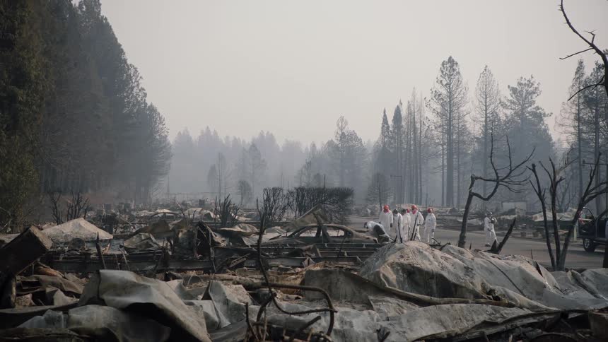 Group of workers wearing white protective suits inspect the remains of burnt buildings in the countryside
