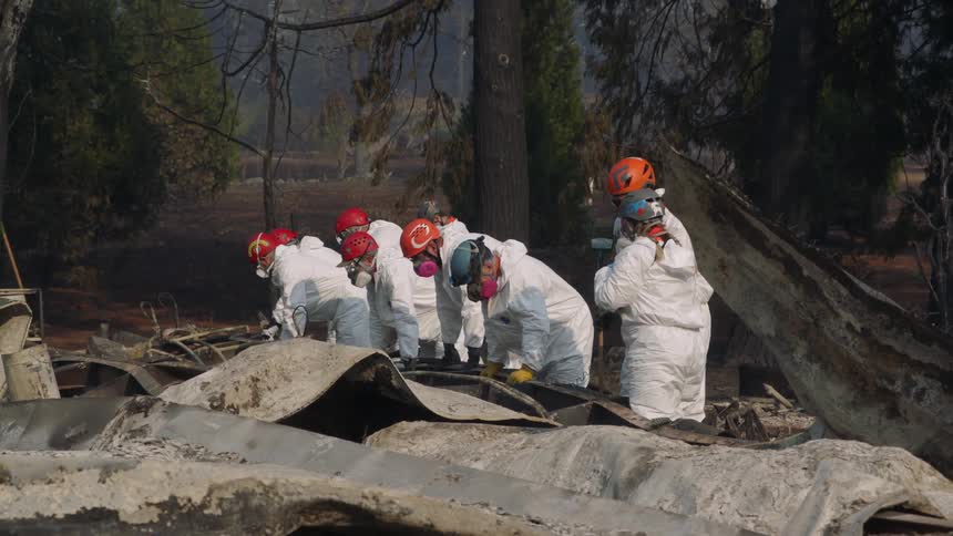 Group wearing protective gear examines wreckage near woods