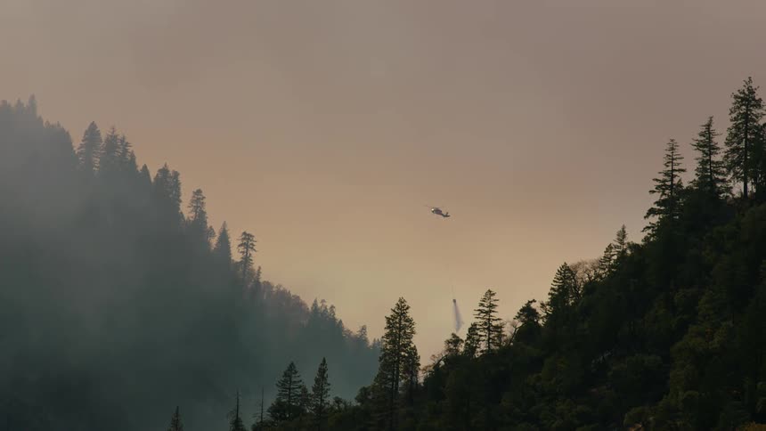 A helicopter lowers equipment into a forest