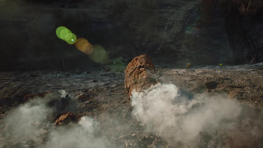 Smoke rising from the ground and a burnt log on the forest floor