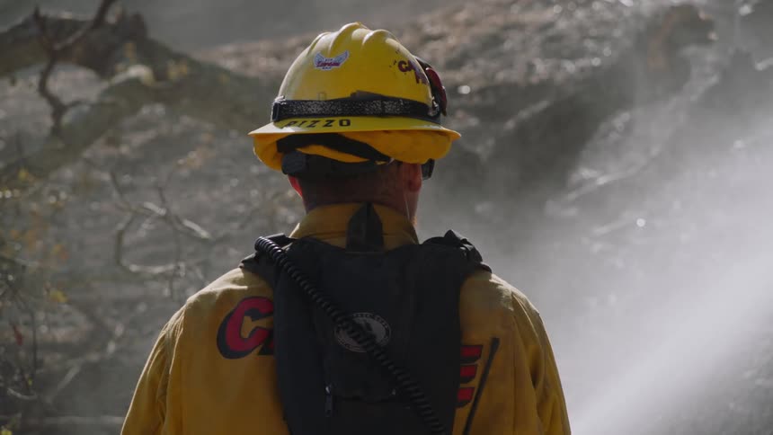 Firefighter sprays burnt charred ground at base of slope as chunk of wood falls against tree trunk in the background