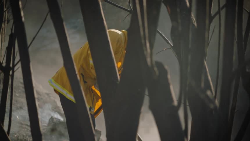 A firefighter digs through the smoldering coals after a forest fire in the woods on a sunny day