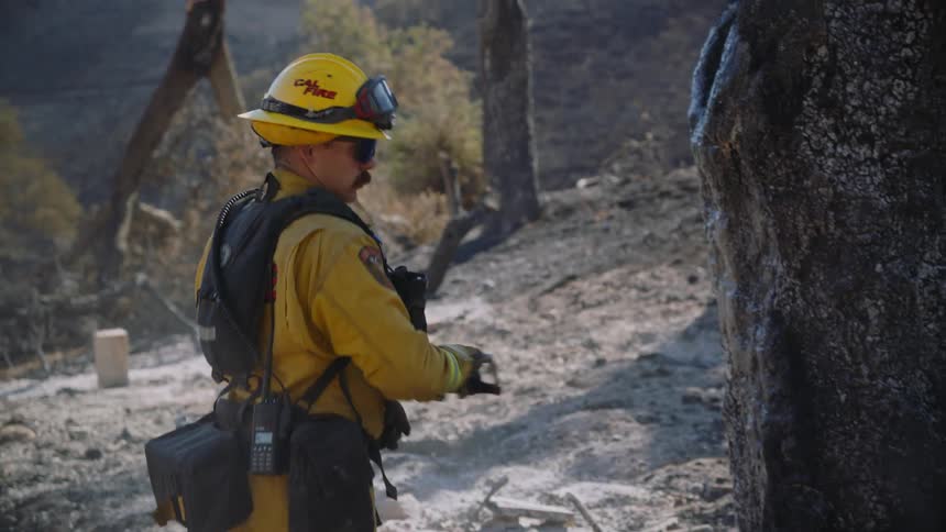 A firefighter hoses down a tree in the forest