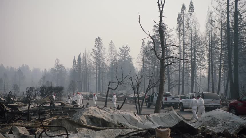 Men wearing protective suits survey the damage from a forest fire