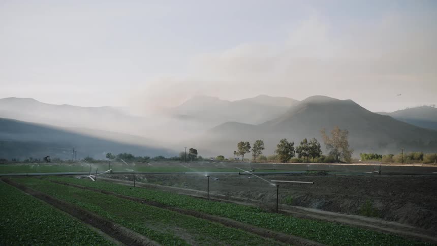 Irrigation system sprinkling water on crops in the field near the mountains under the morning mist