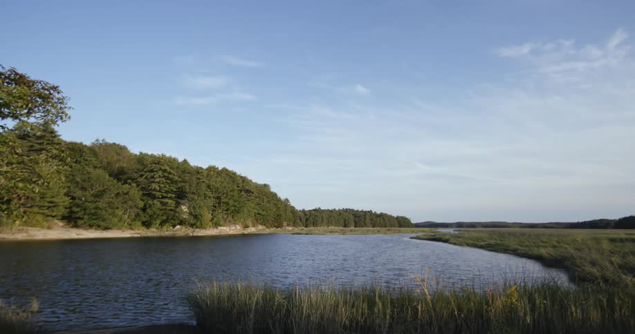 A lake next to a forest