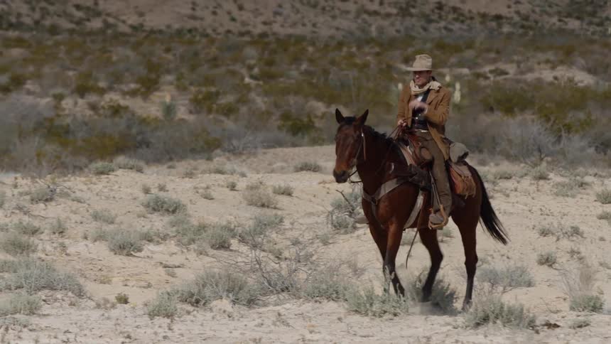 Cowboy rides through vast desert