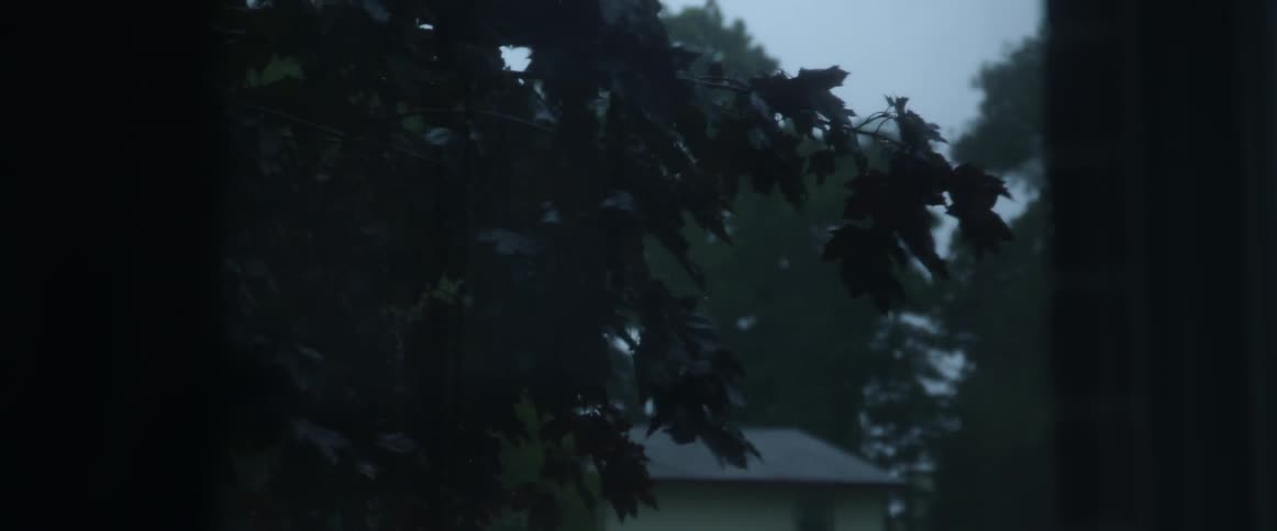 A tree blowing in the wind and a house with a car sitting outside