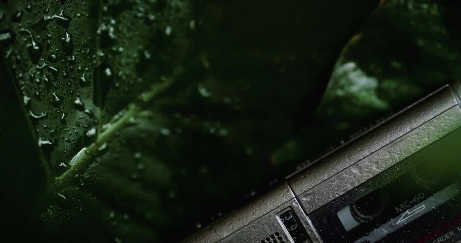 Close up of a tape recorder right next to large green leafs with water droplets over their surface