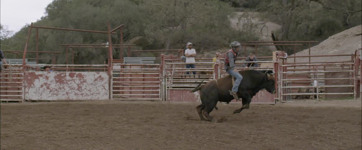 A man rides a bull