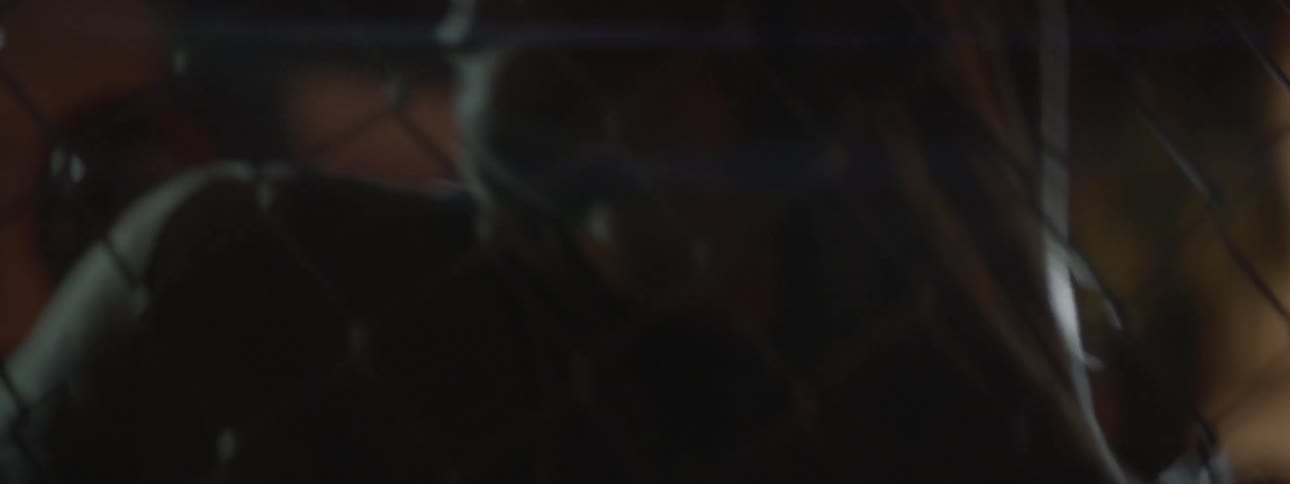 Two men fight against a chain link fence with flashing lights in the background