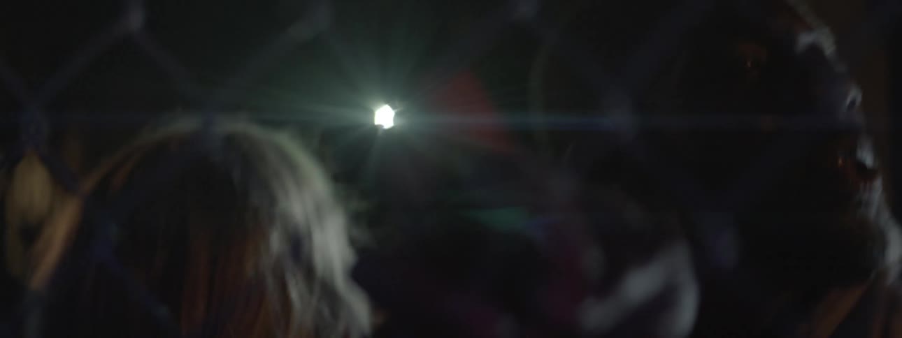 Police lights flash on an angry crowd