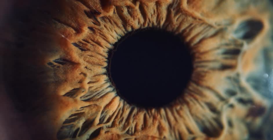 A yellow organic breathing substance pulsates around a black hole into a realm of darkness