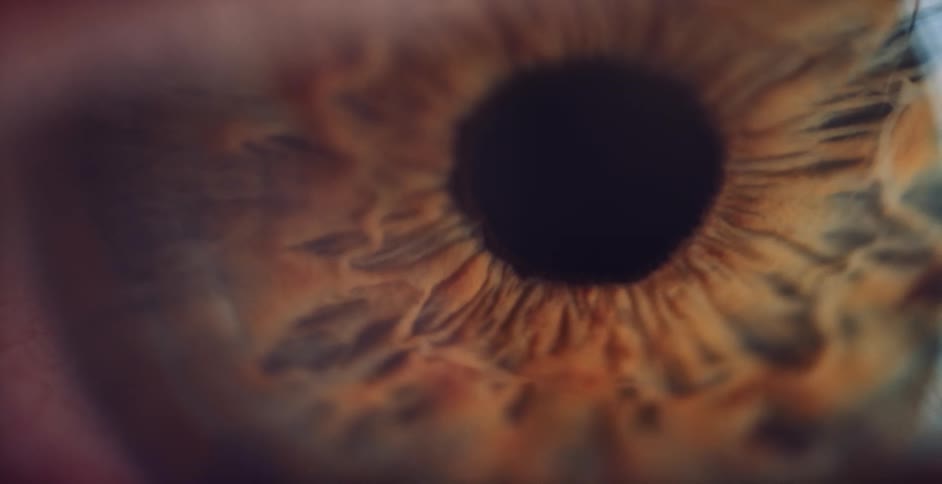 The pattern in a persons iris is visible up close