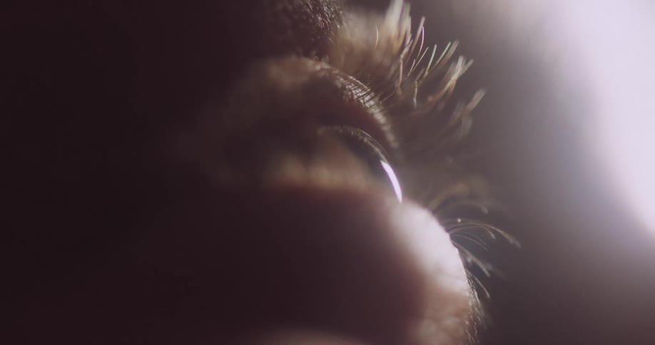An extreme close up of a persons eye ball blinking as shadows cross the eye