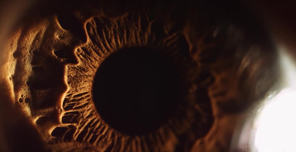 The eye pupil moves