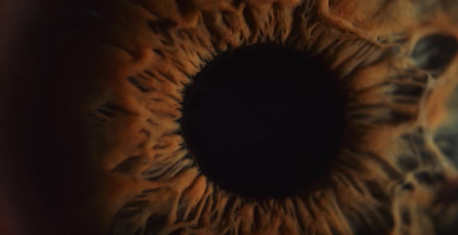 An extremely magnified image of a contracting pupil and iris on a human eye is shown