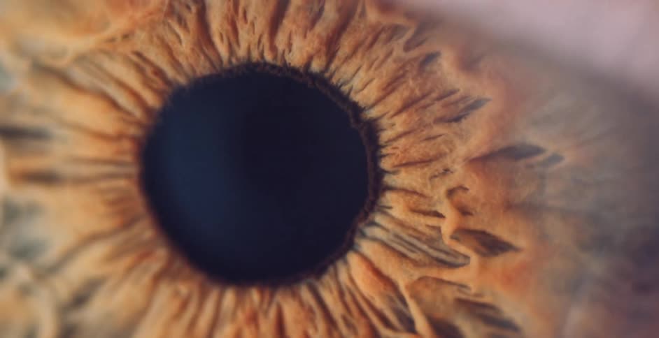 An extreme closeup of an eyeball shows it dilate slightly in response to light