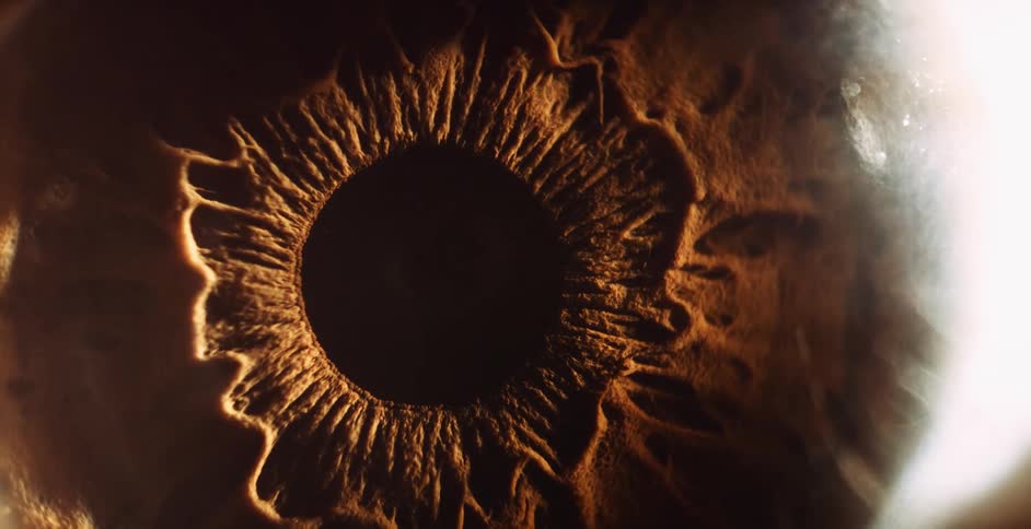 An extreme close up of a brown eye staring straight ahead without blinking