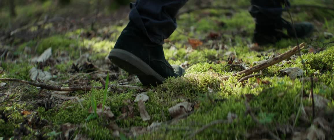 Foot steps on branch in forest