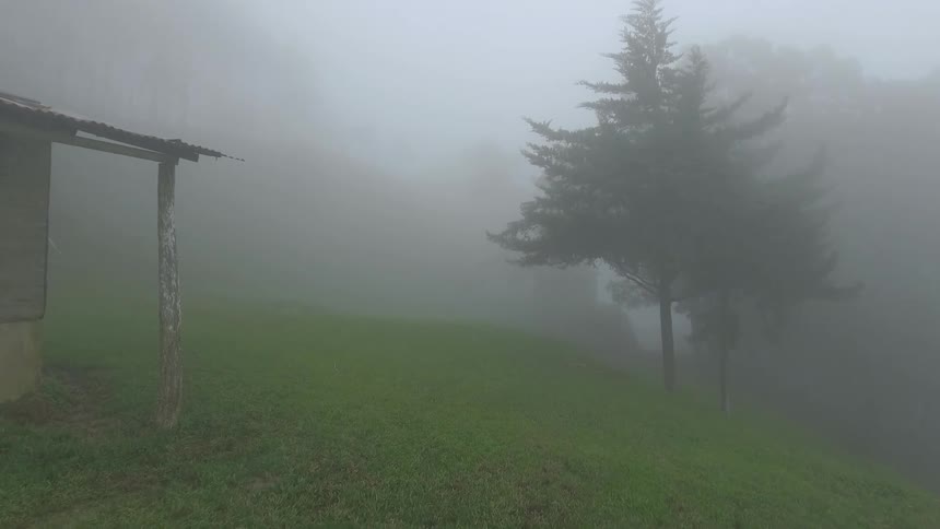 A house sits on a hill on a foggy day