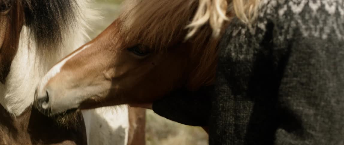 A woman pets the horses