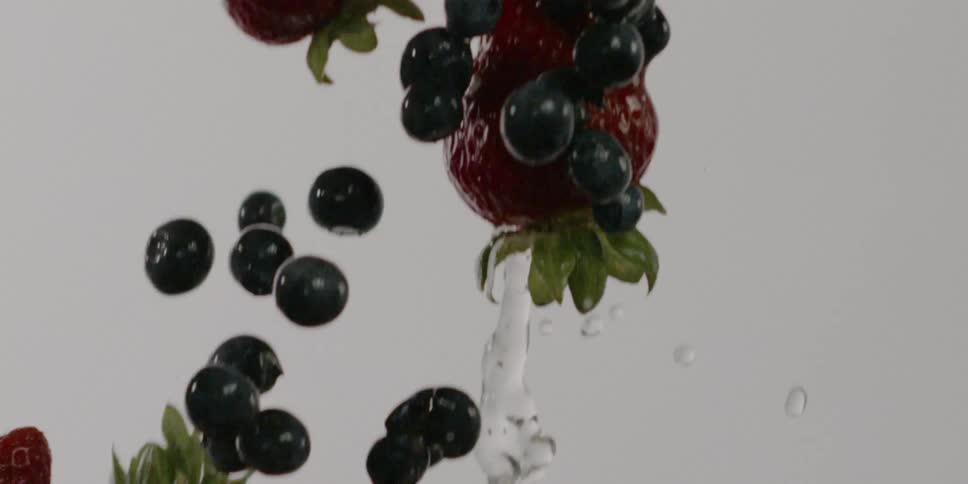 Fruit