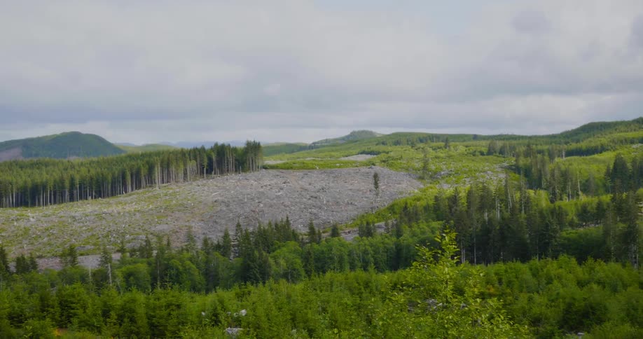 A large grassy area with trees and mountains on a cloudy day