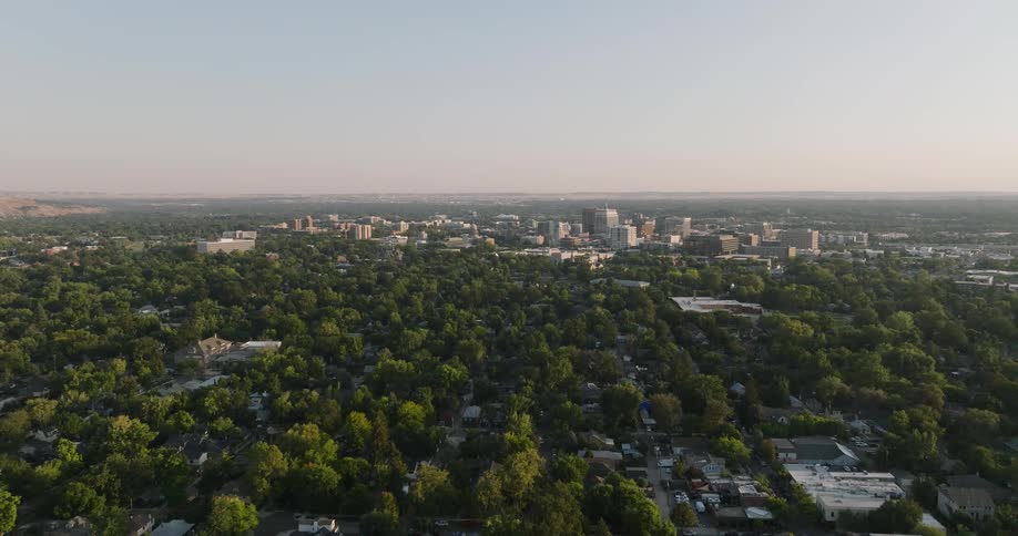 Aerial view of city skyline and suburban area with green trees in the city
