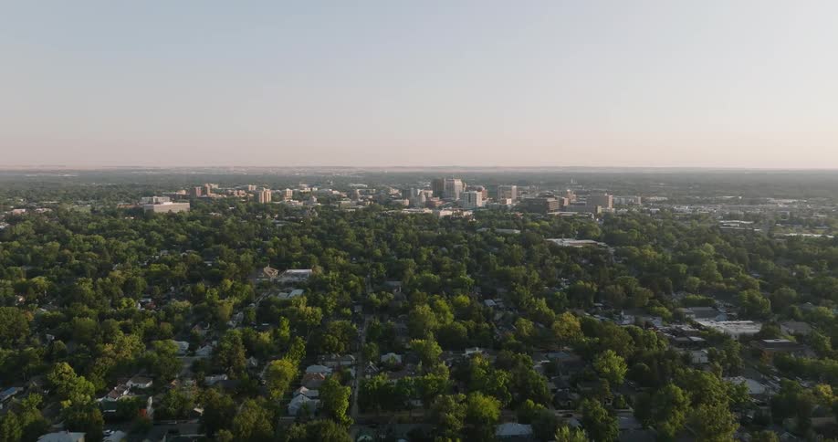 An aerial view of trees in front of a skyline with high rise office buildings