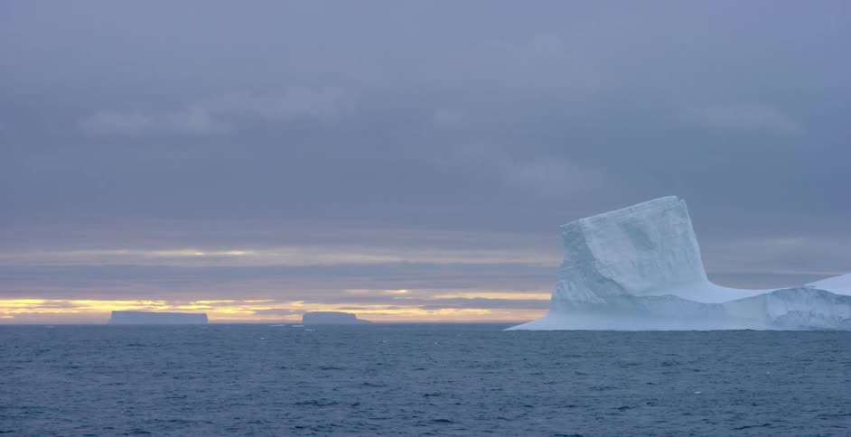 Large icebergs float in the water