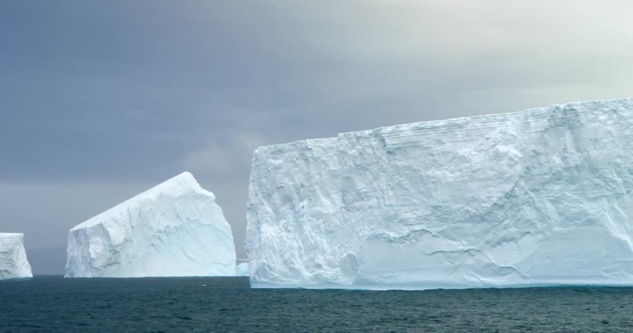 Large icebergs float in the water